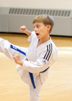 Alex TKD-11
